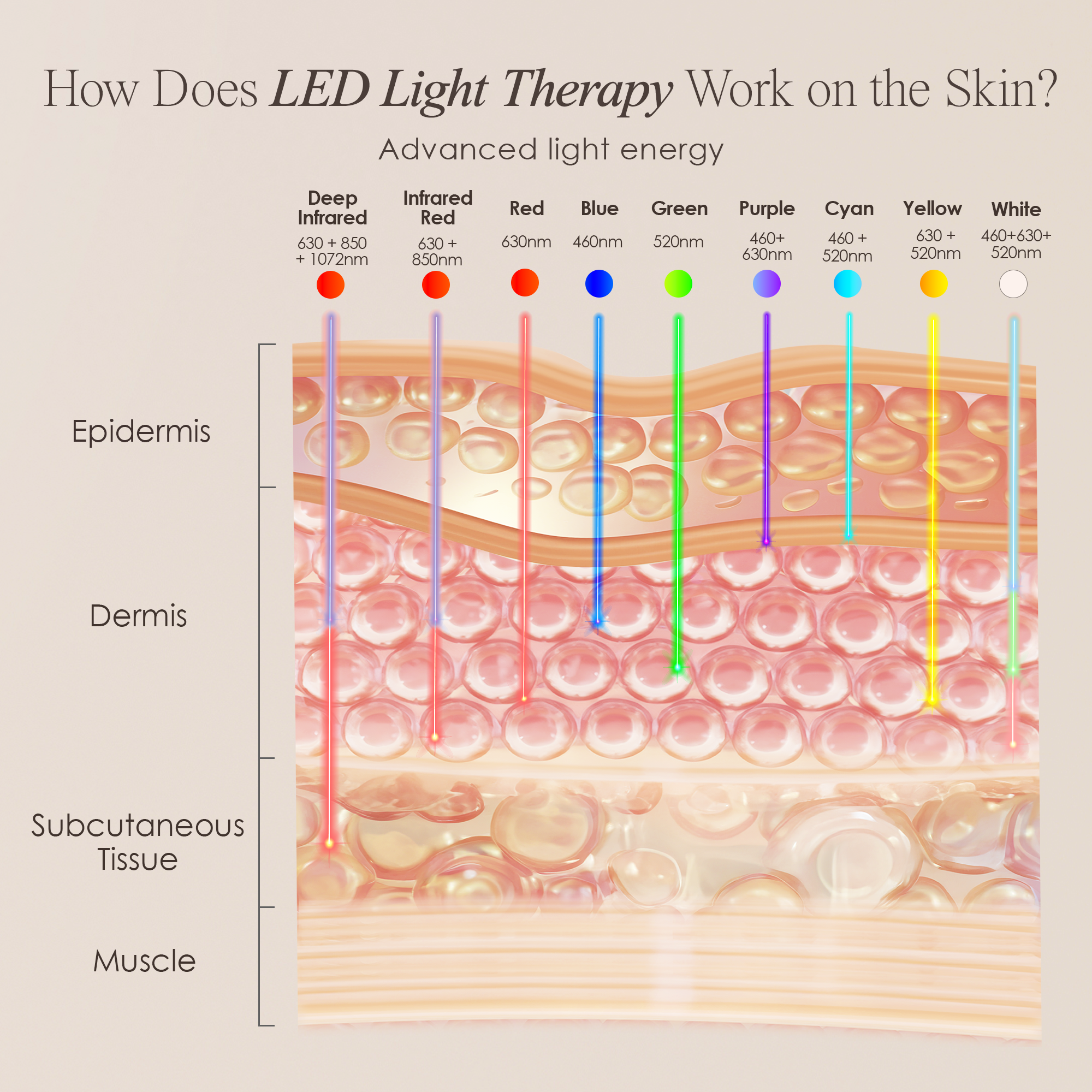 How does LED light therapy work on the skin?